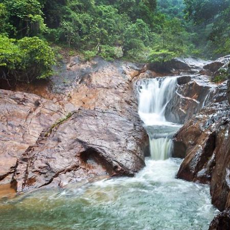 Appartamento Jeroen'S Jungle View Koh Chang Esterno foto