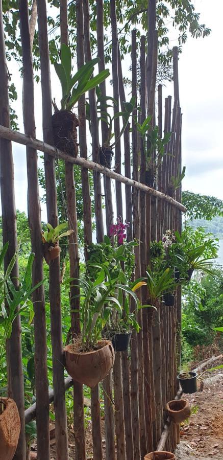 Appartamento Jeroen'S Jungle View Koh Chang Esterno foto